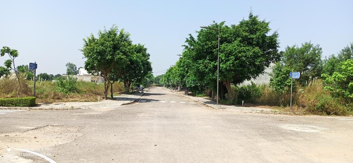 DLF Hyde Park Plots - photo 3