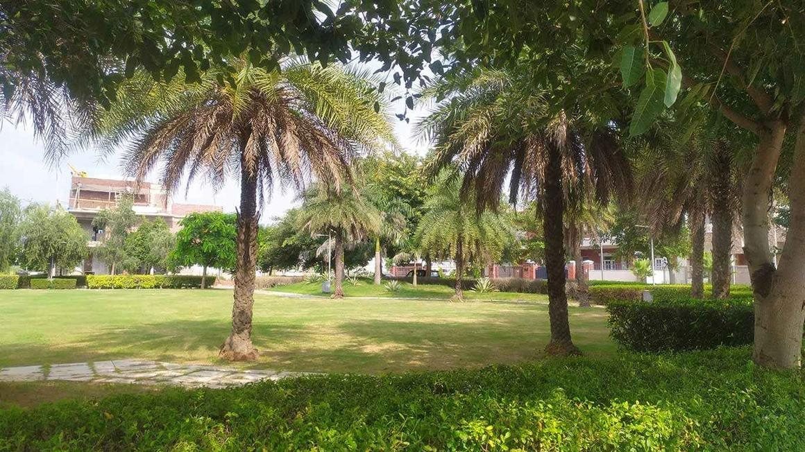 DLF Hyde Park Plots - photo