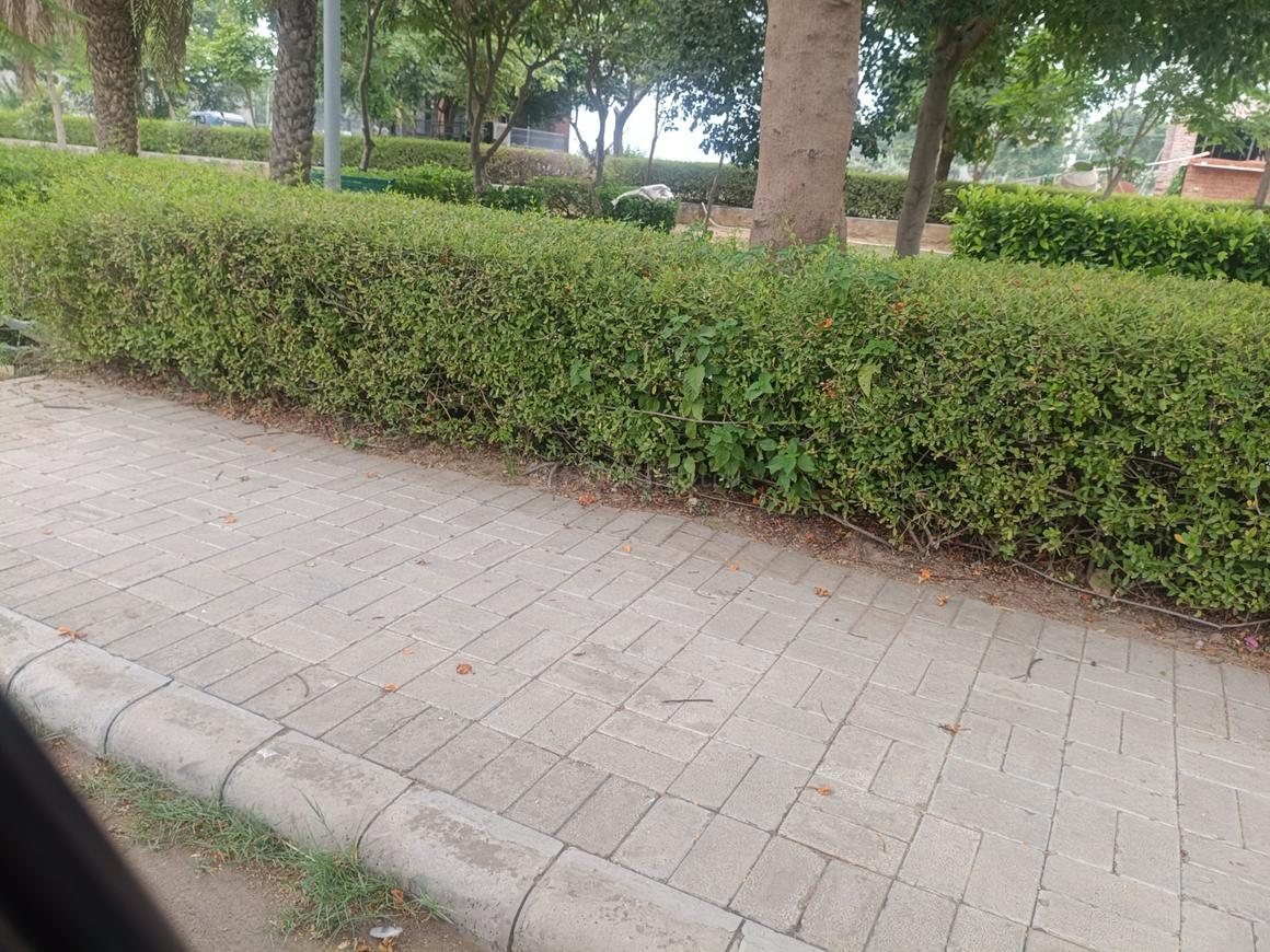 DLF Hyde Park Plots - photo