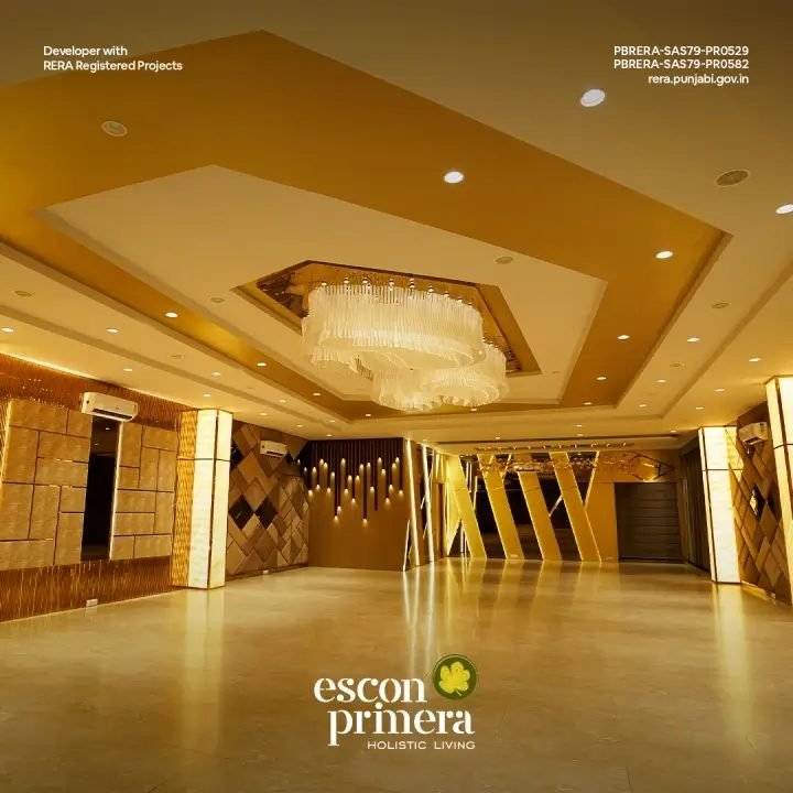 Escon Primera - photo