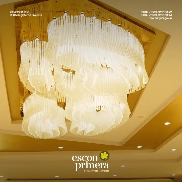 Escon Primera - photo