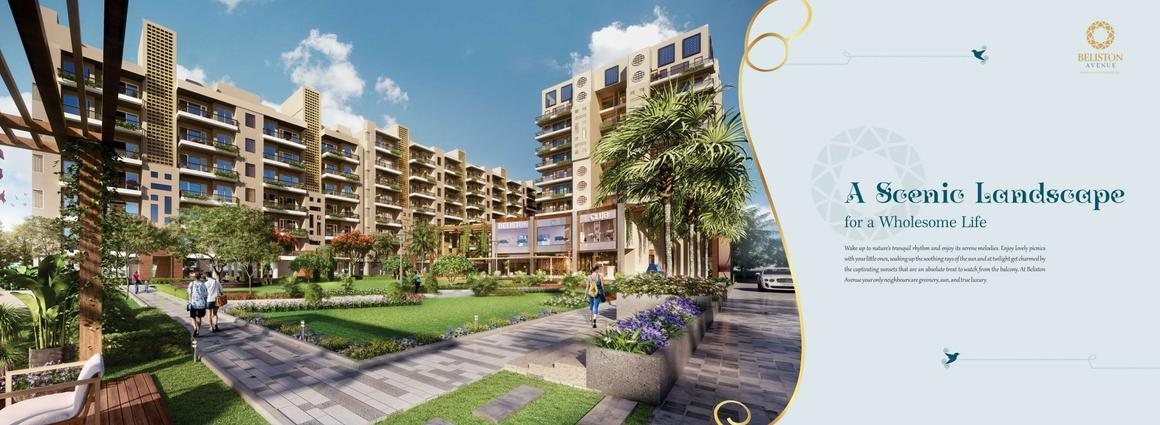 GVT Beliston Avenues - photo