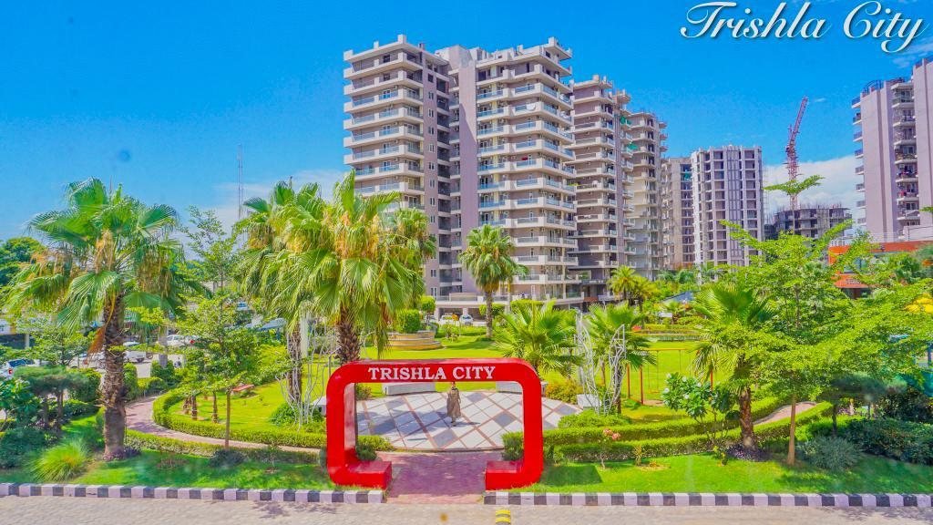 Trishla City - photo 2