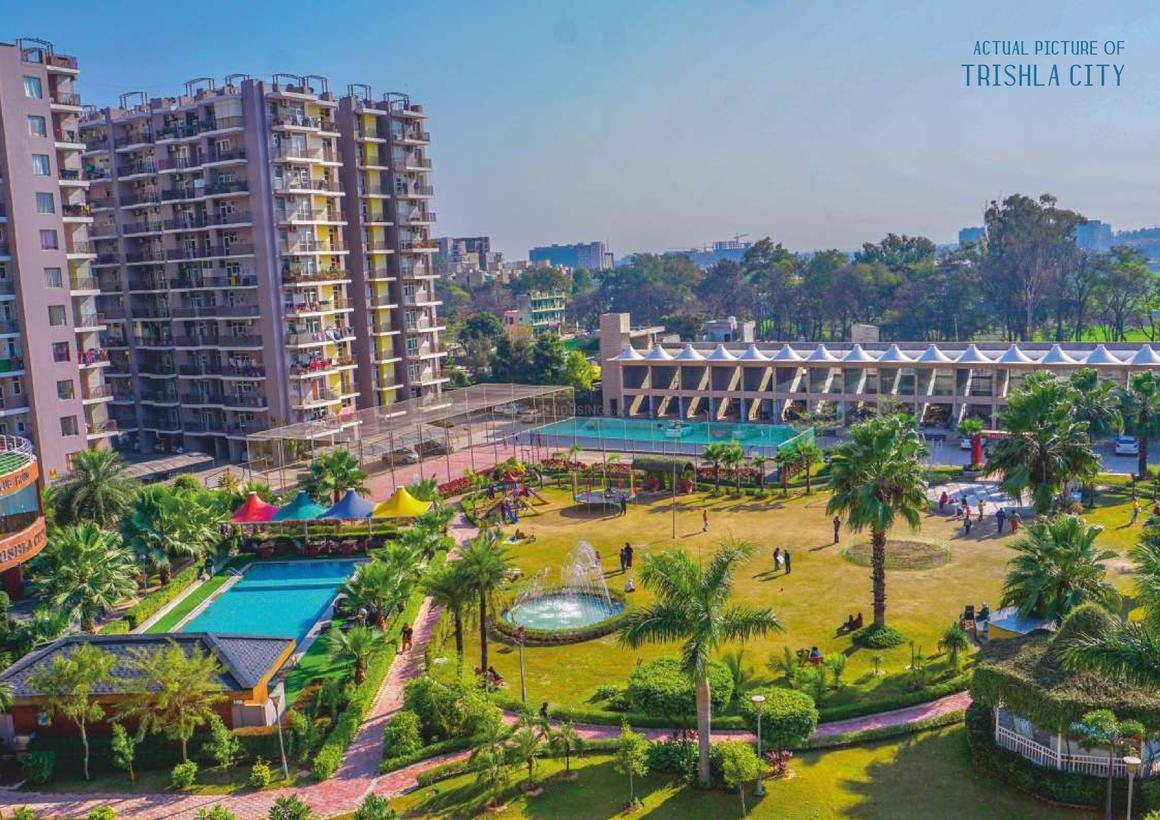 Trishla City - photo 3
