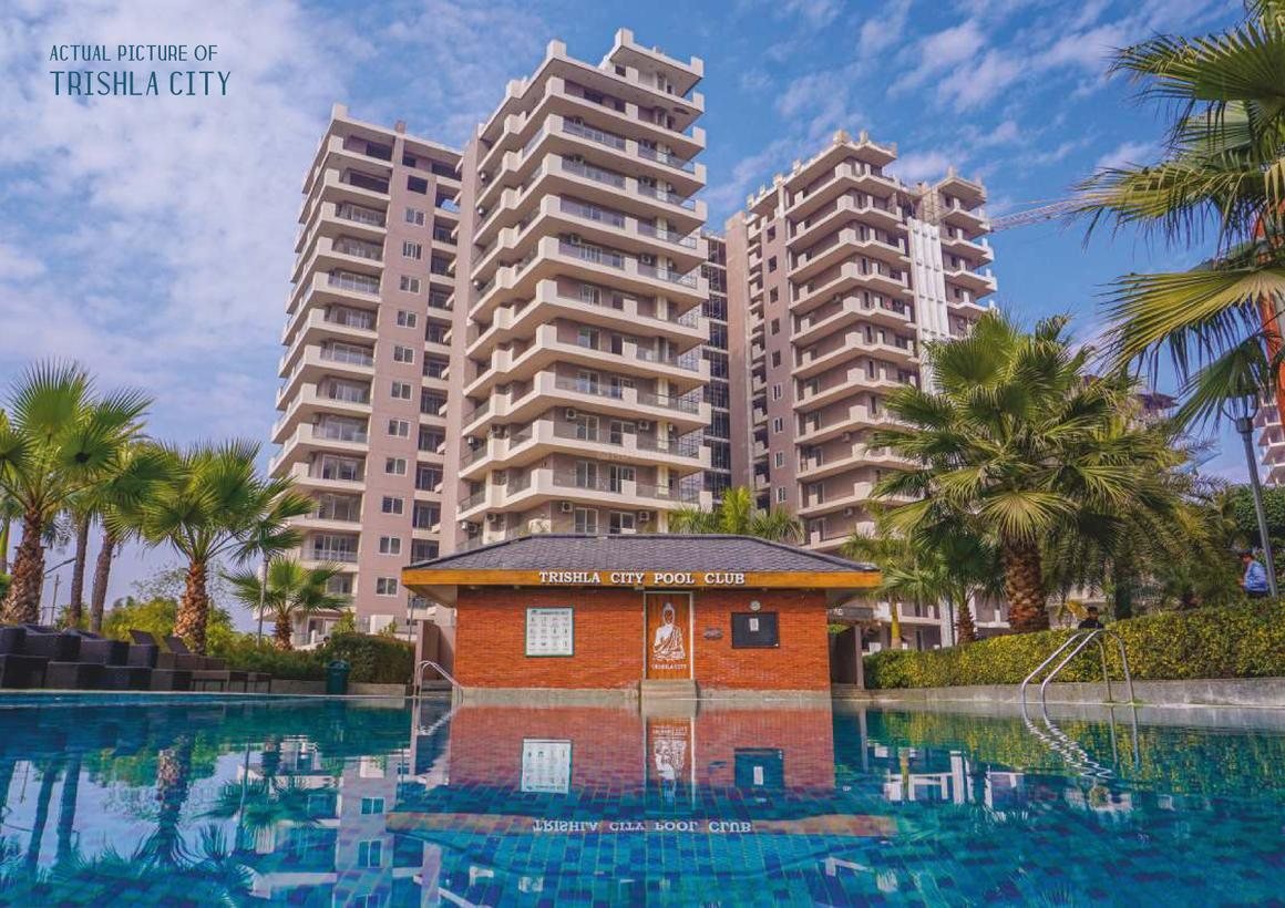 Trishla City - photo